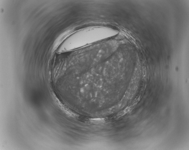 X0000059780053200511111520
