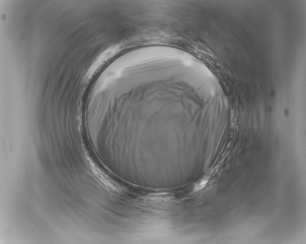 X0000059780054200511111520