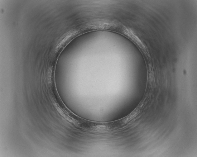 X0000059780058200511111520
