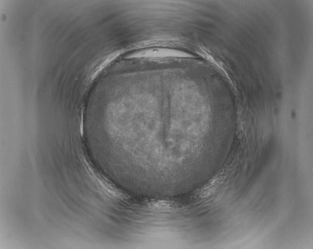 X0000059780062200511111520