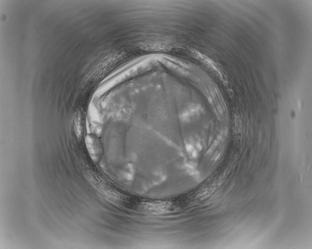 X0000059780069200511111520