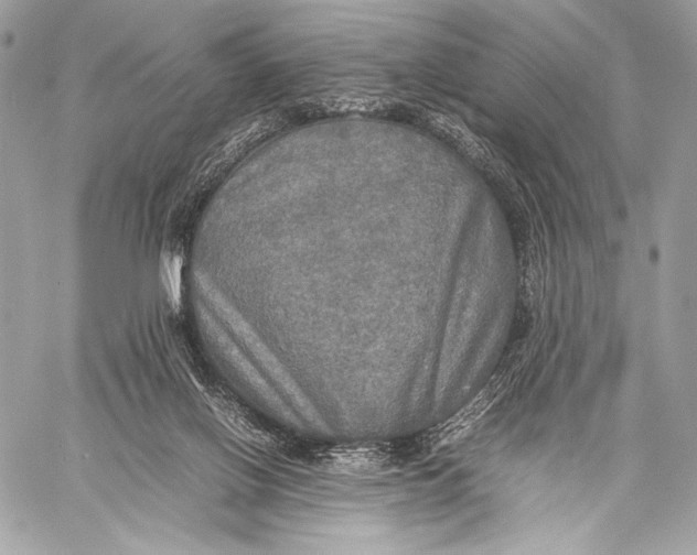 X0000059780070200511111520