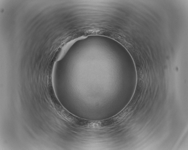 X0000059780080200511111520