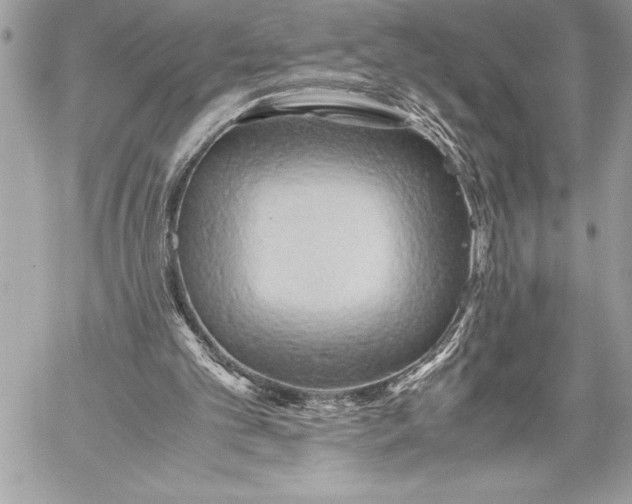 X0000059780101200511111520