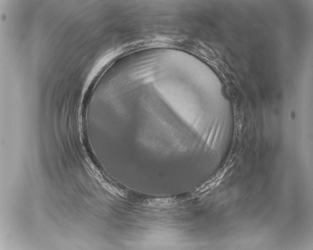 X0000059780102200511111520