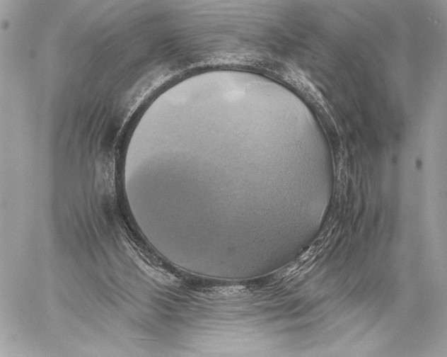 X0000059780108200511111519