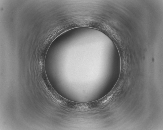 X0000059780113200511111519
