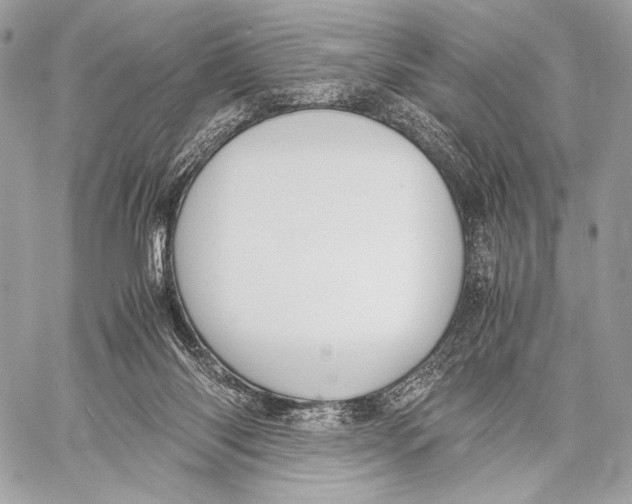 X0000059780118200511111519