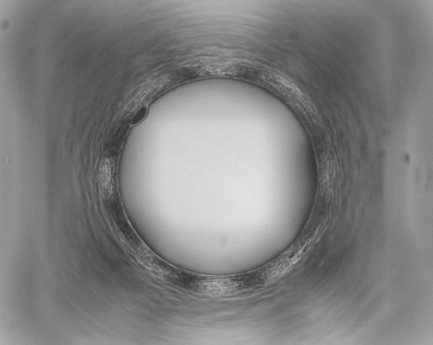 X0000059780121200511111519