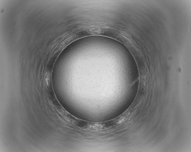X0000059780125200511111519