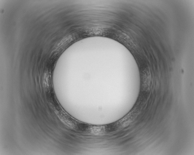 X0000059780126200511111519