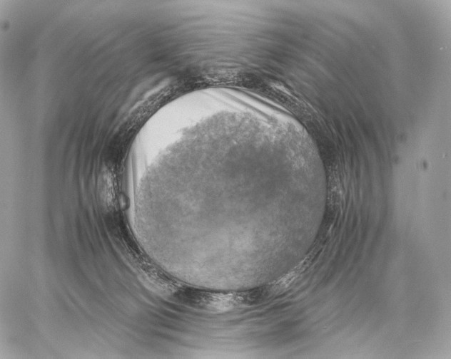 X0000059780130200511111519