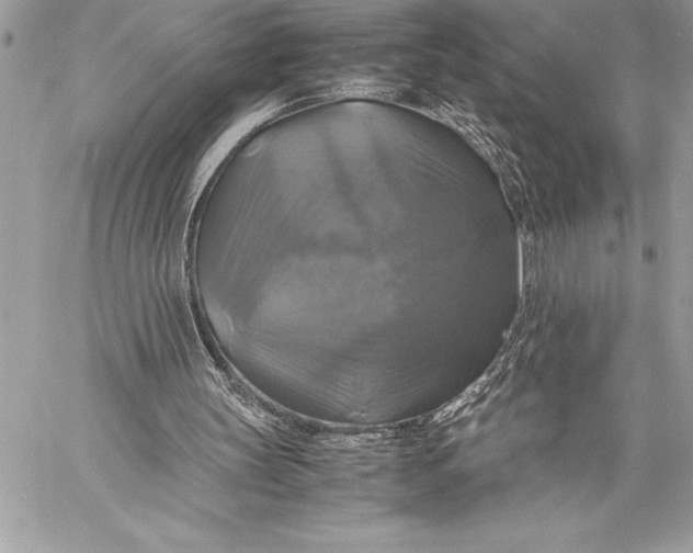 X0000059780147200511111518