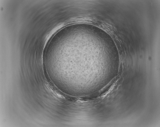X0000059780148200511111518