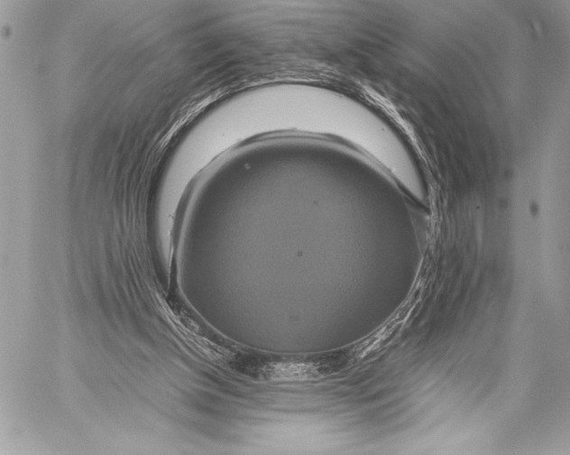 X0000059780154200511111518