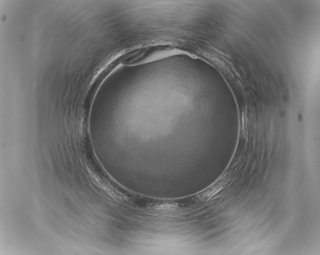 X0000059780156200511111518
