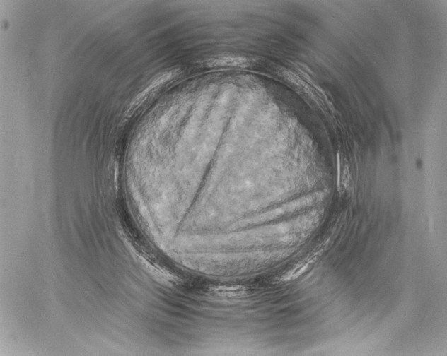 X0000059780157200511111518