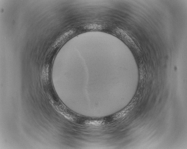 X0000059780163200511111518