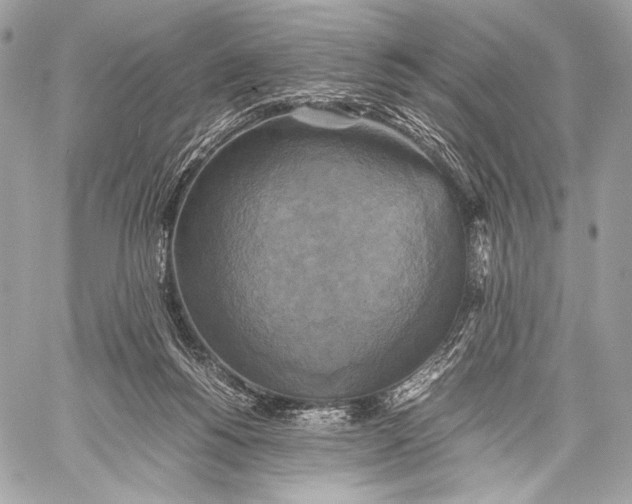 X0000059780168200511111518