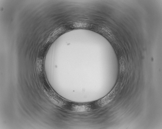 X0000059780171200511111519