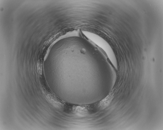 X0000059780180200511111519