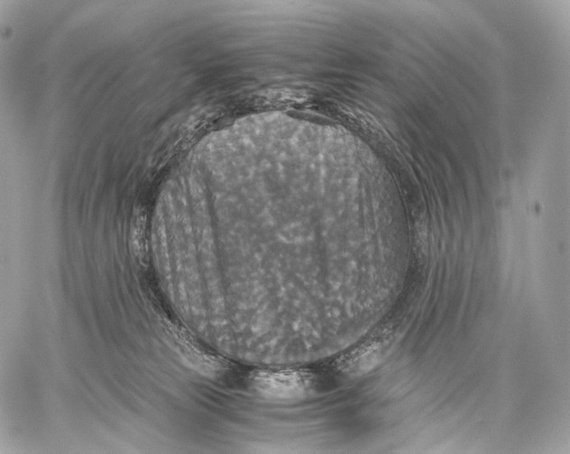 X0000059780181200511111519