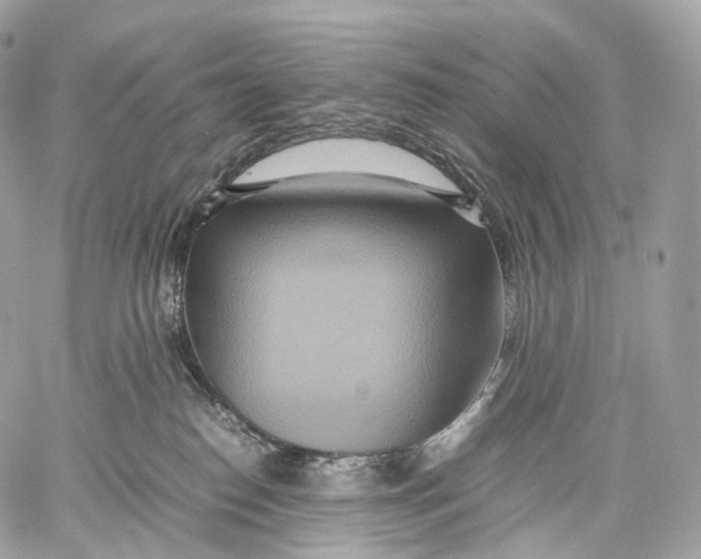 X0000059780186200511111519