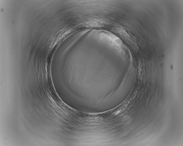 X0000059780202200511111518