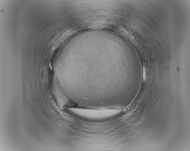 X0000059780205200511111518