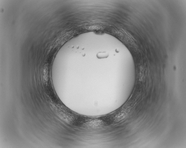 X0000059780210200511111518