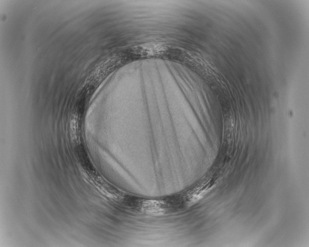 X0000059780222200511111518