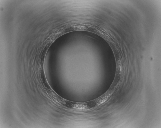 X0000059780223200511111518