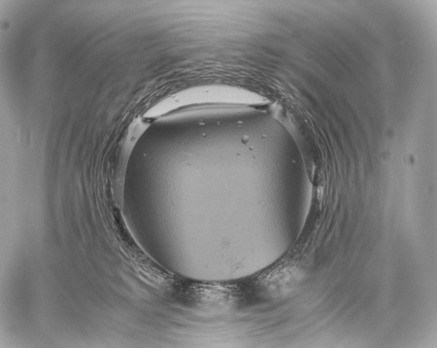 X0000059780229200511111517