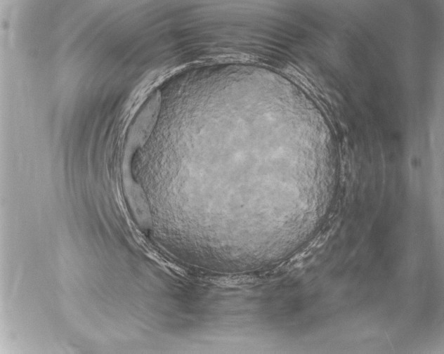 X0000059780241200511111516