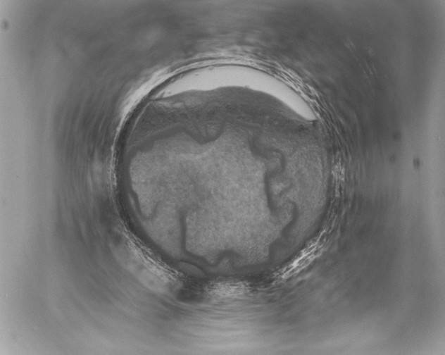 X0000059780248200511111517