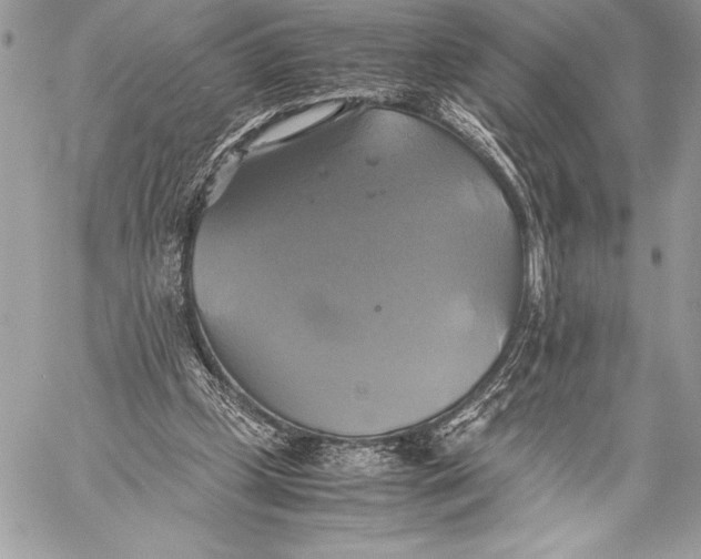 X0000059780249200511111517