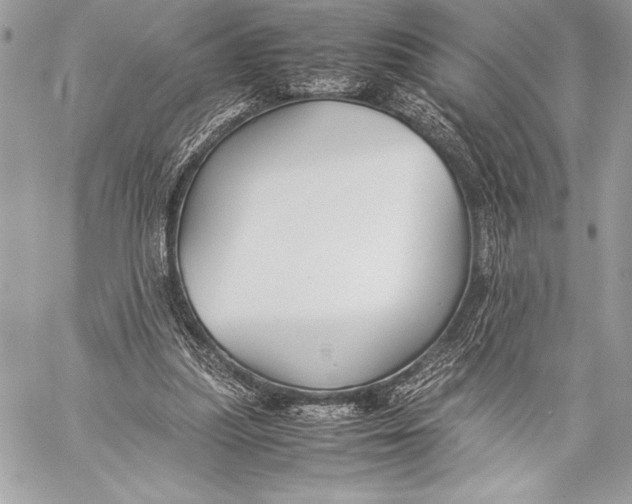 X0000059780251200511111517