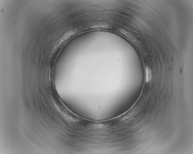 X0000059780253200511111517