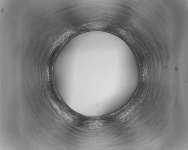 X0000059780254200511111517