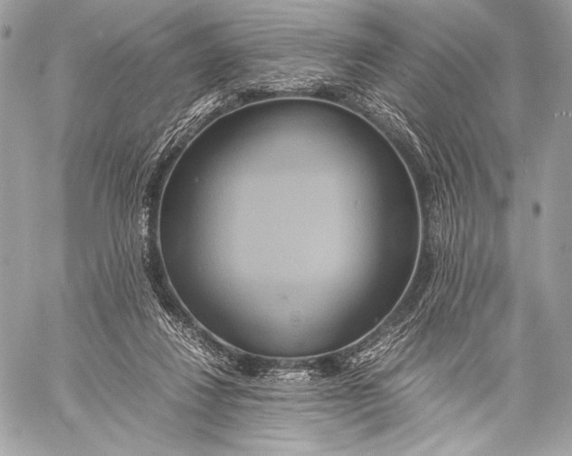 X0000059780260200511111517