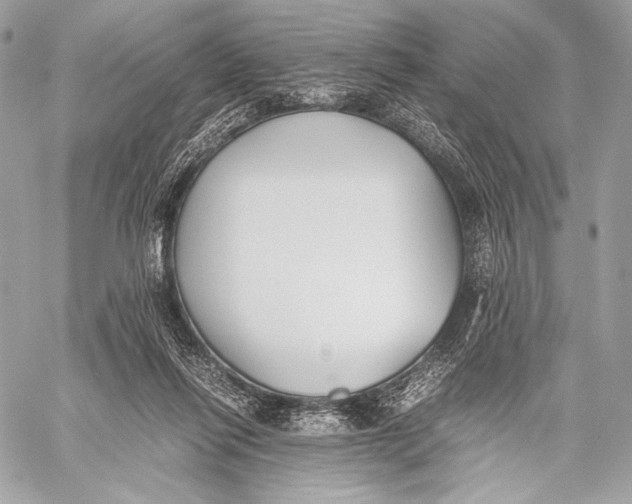 X0000059780262200511111517