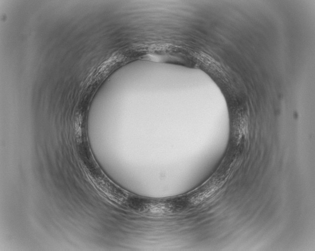 X0000059780264200511111517