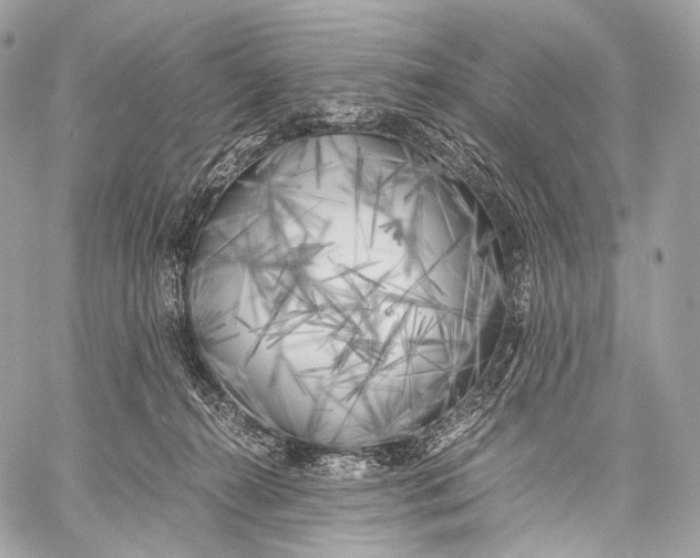 X0000059780272200511111517