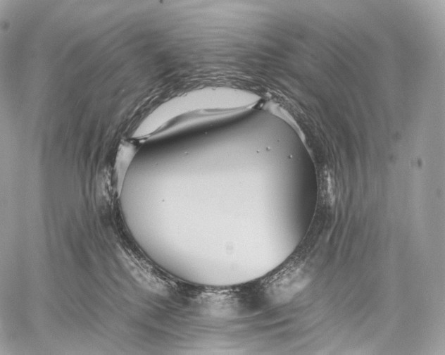 X0000059780280200511111517
