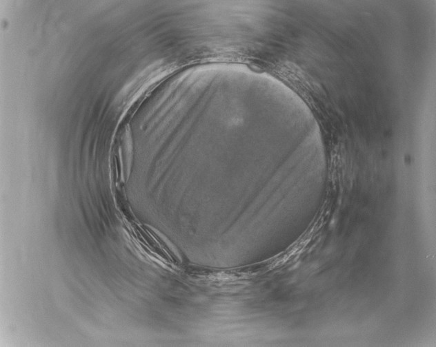 X0000059780290200511111516