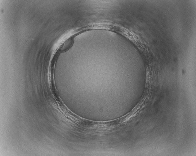 X0000059780294200511111516