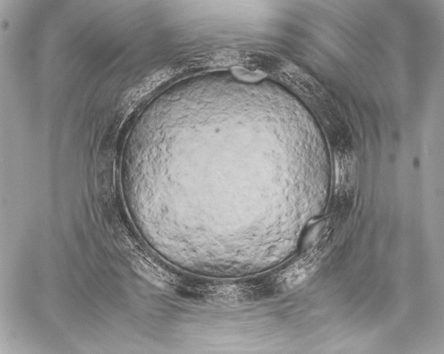 X0000059780301200511111516