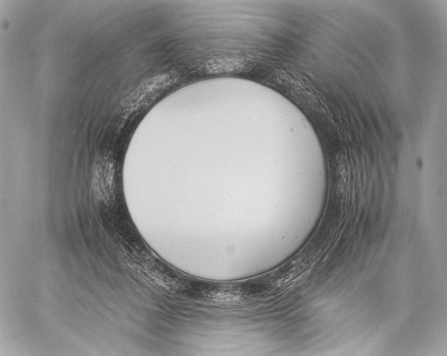 X0000059780308200511111516