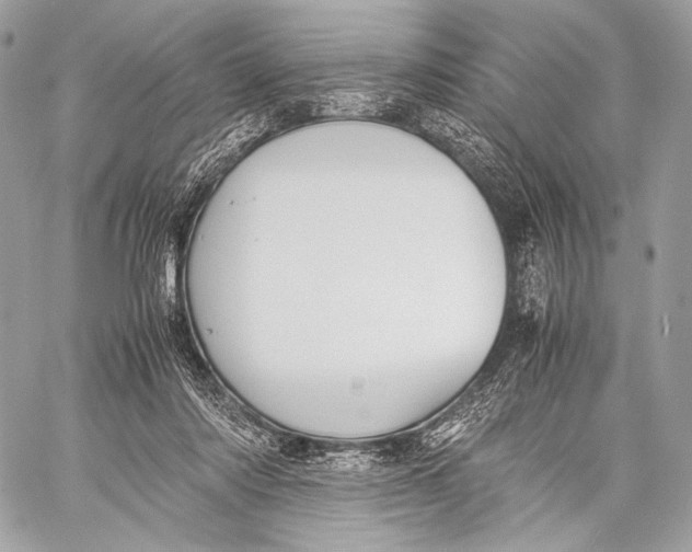 X0000059780310200511111516