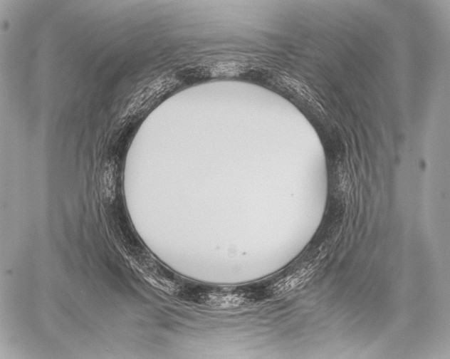 X0000059780311200511111516